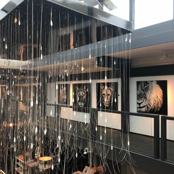 2be1ea2a-e1d5-4040-8b79-197765b4c908