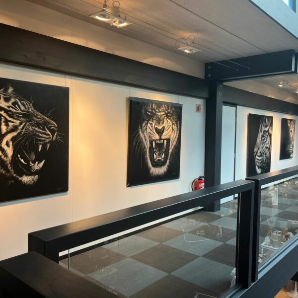 2cdb11b9-f978-4838-b7e5-3fb610096b37