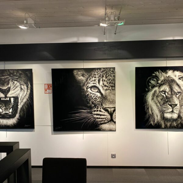 3411c221-c5b8-4a86-ae7e-366167ff77d6