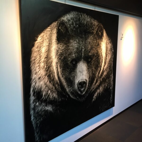 5e311e3a-cd4a-4f77-9de0-6a78af945039