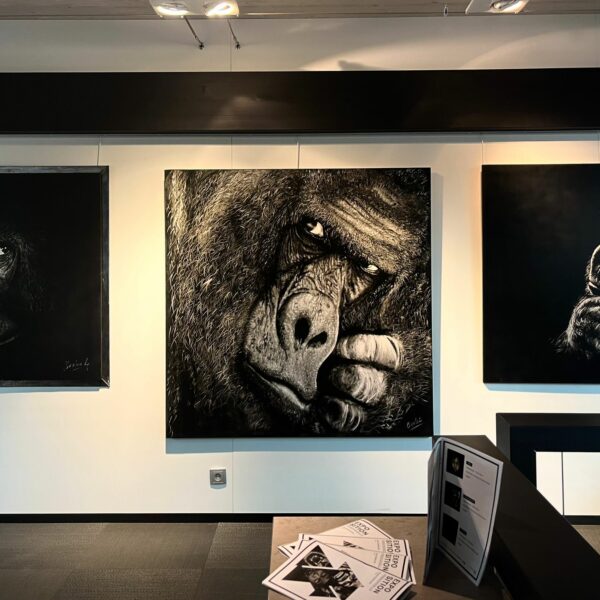 a3dabab7-2e49-4a39-9a29-bd087a5f9d21